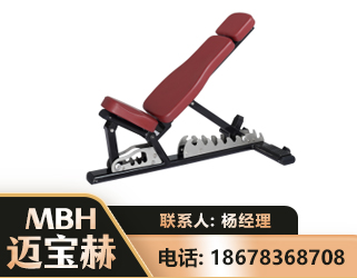 文山可调哑铃椅